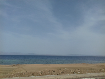 photo 1624154