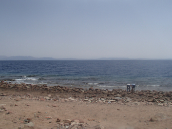 photo 1640426