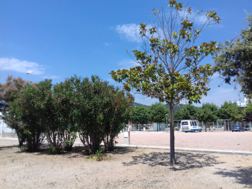 photo 1708284