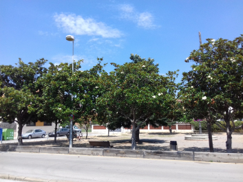 photo 1708825