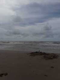 photo 1671936