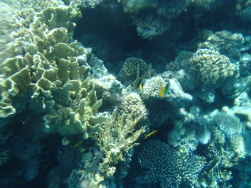 photo 1674118