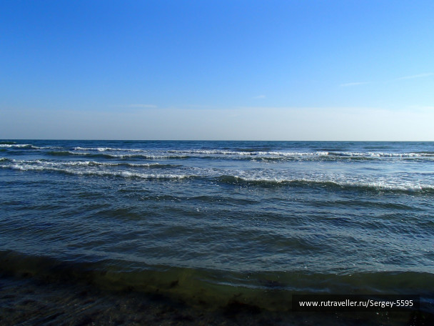 photo 1731884