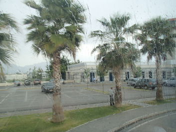 photo 1737442