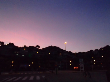 photo 1731154