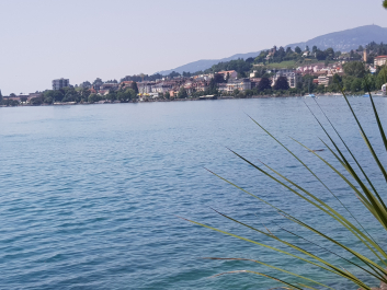 photo 1781932