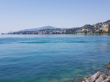 photo 1783981