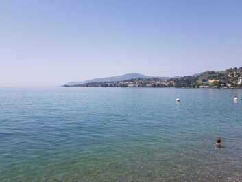 photo 1787540