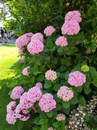 photo 1805647