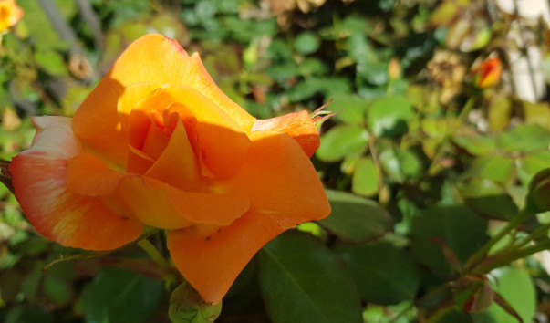 20190626_151849