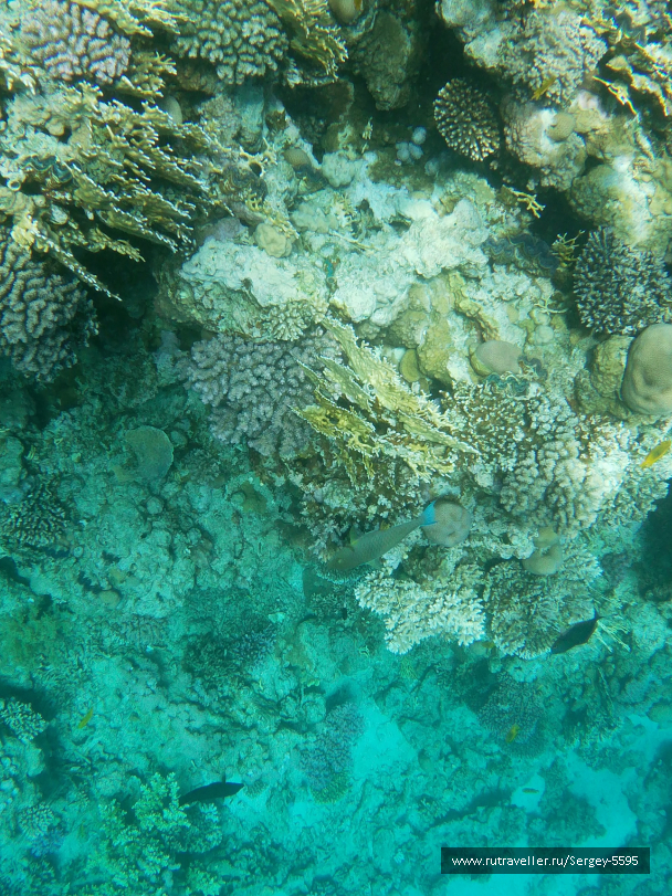 photo 1855986