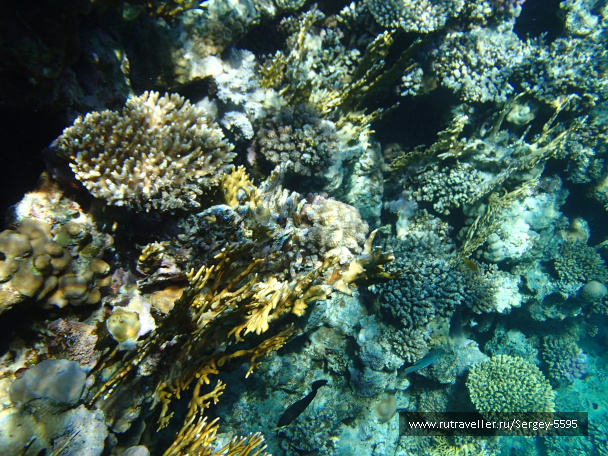 photo 1868173