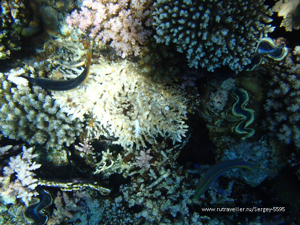 photo 1873832