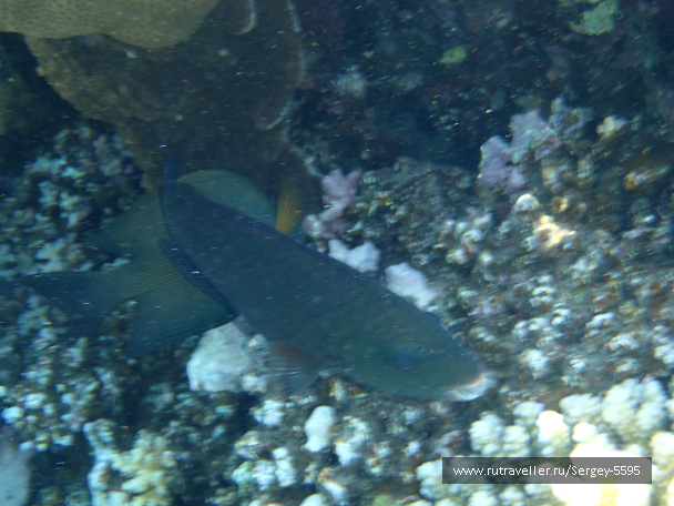 photo 1874316