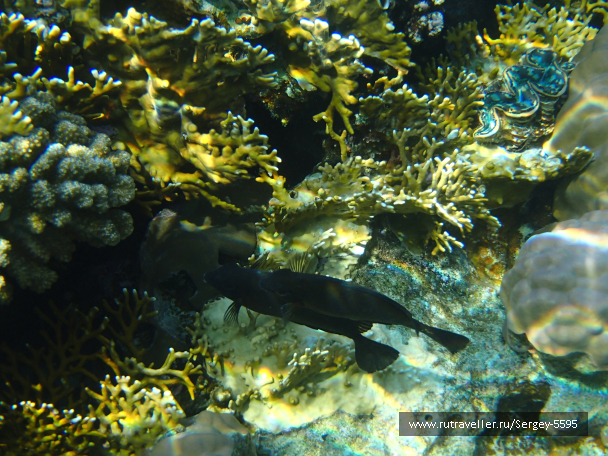 photo 1876944