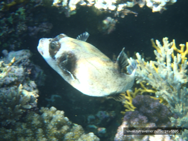 photo 1877915