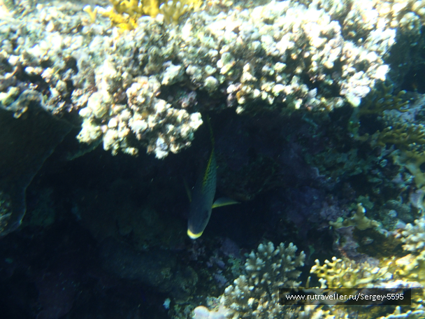photo 1878739
