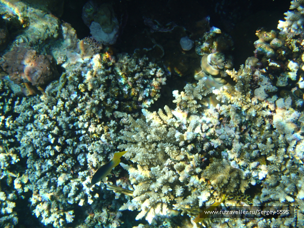 photo 1879615