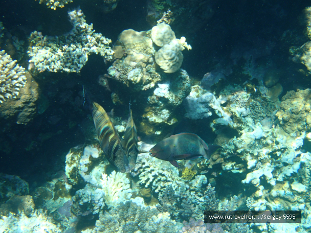 photo 1880115