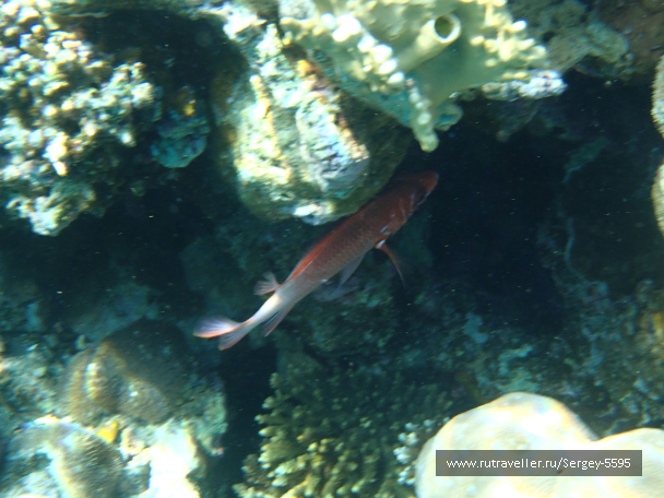 photo 1881623