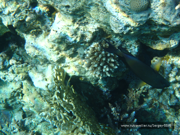 photo 1881793