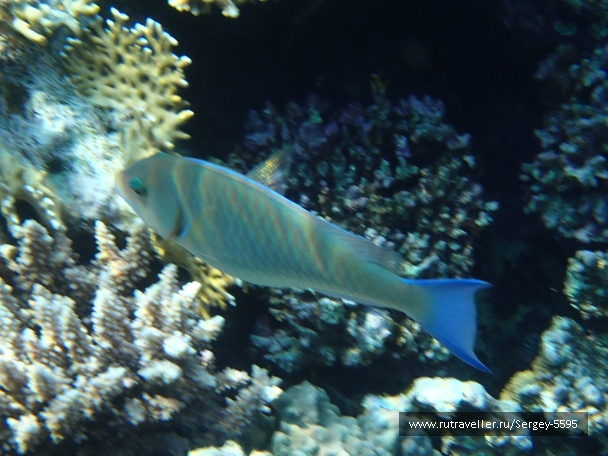 photo 1884160
