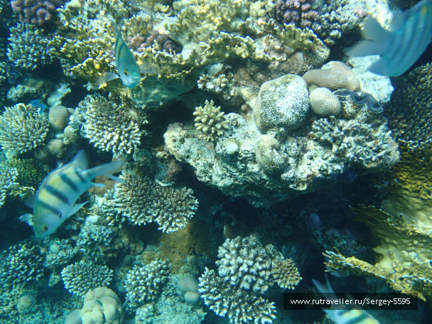 photo 1885201