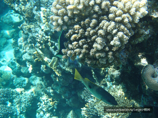 photo 1942840