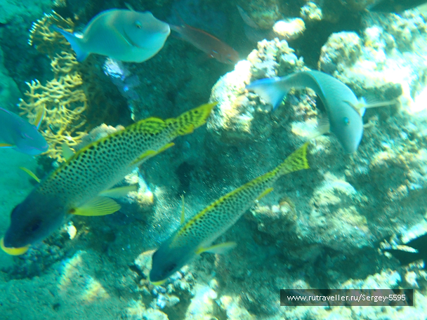 photo 1945717