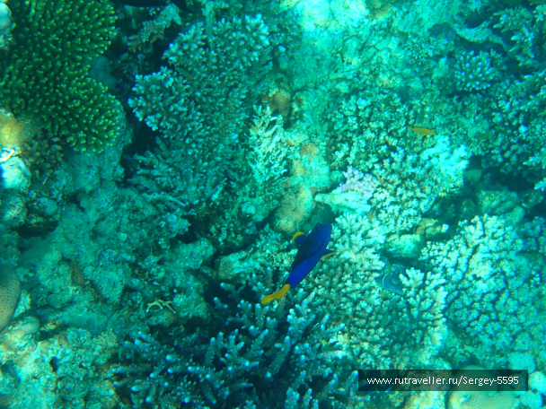 photo 1947078