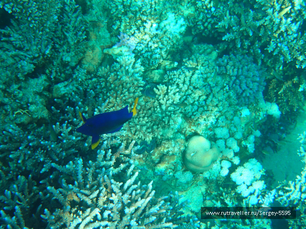 photo 1947079