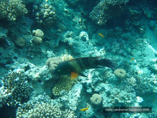 photo 1947784
