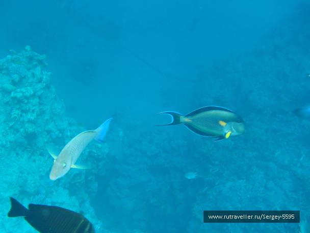 photo 1951714