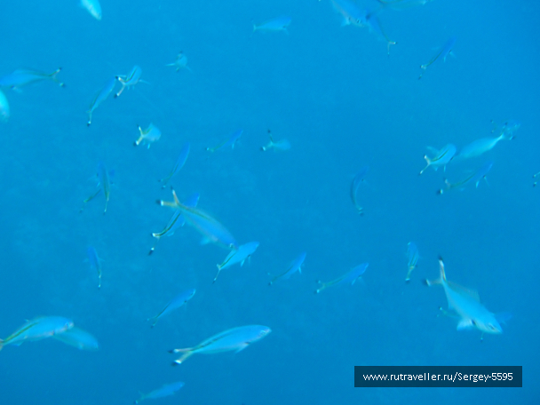 photo 1952056