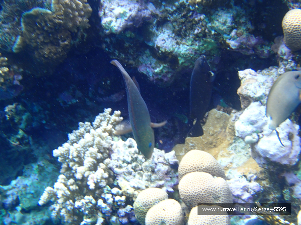 photo 1952057
