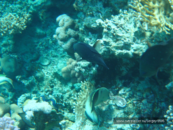 photo 1952338