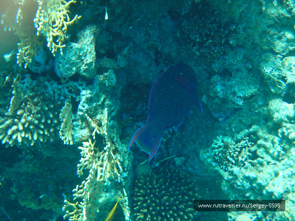 photo 2000743