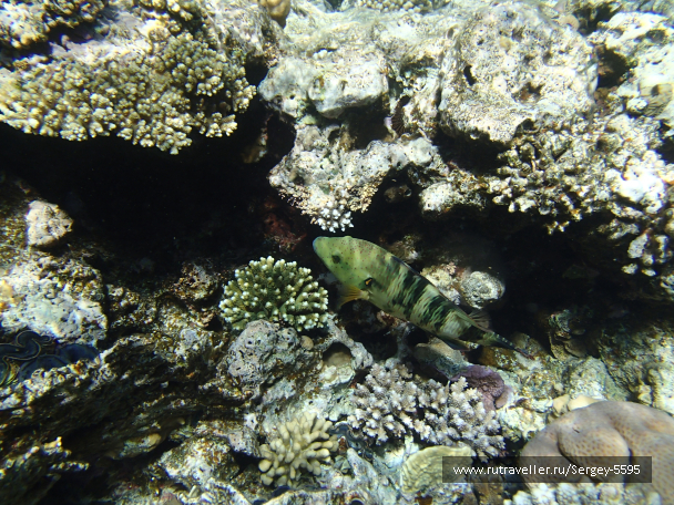 photo 2000744