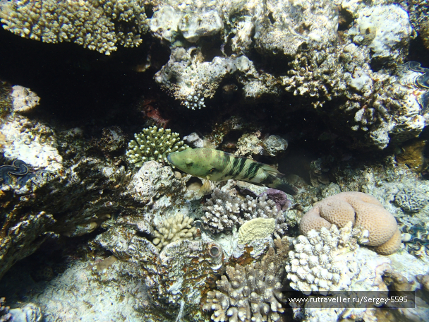 photo 2000797