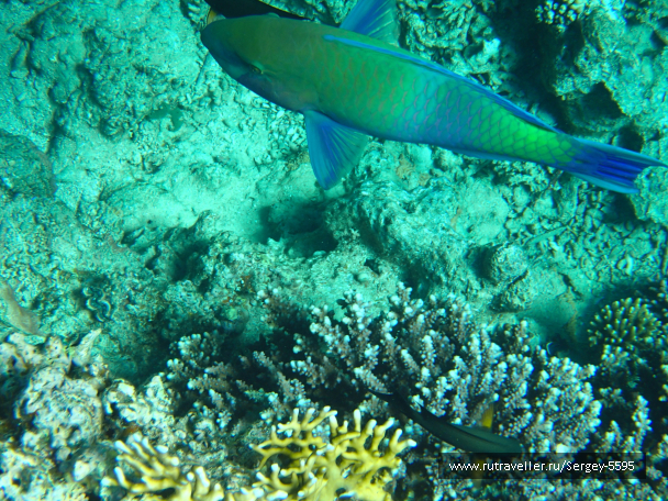 photo 2000961