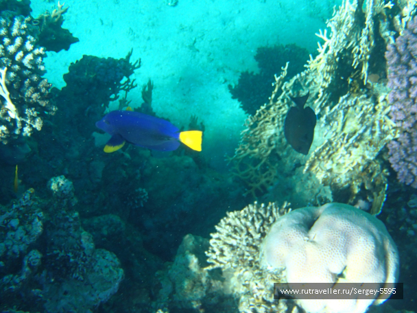 photo 2001387