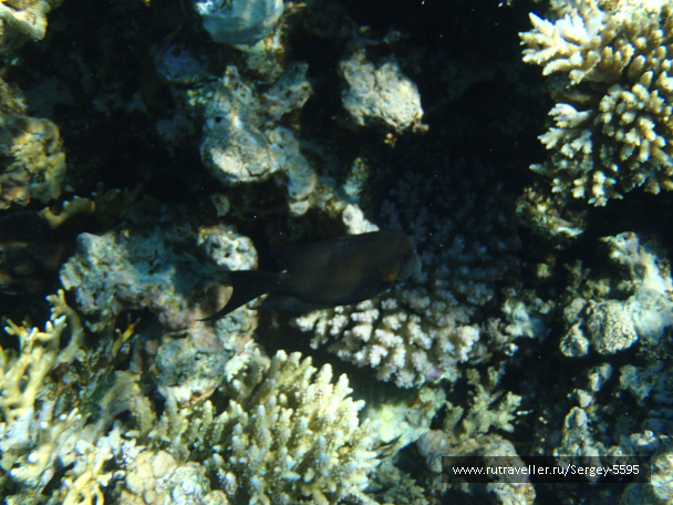 photo 2002701