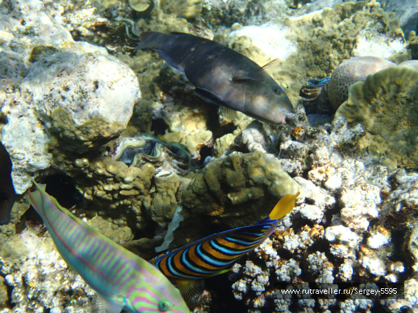 photo 2003346
