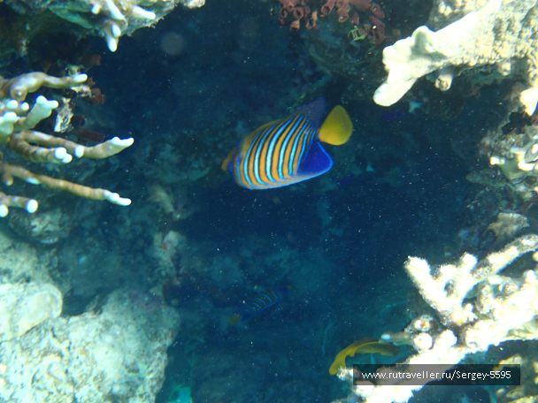 photo 2005532