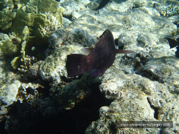 photo 2006397