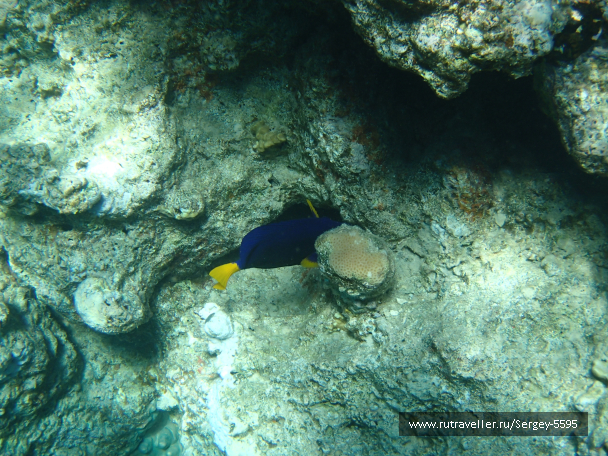 photo 2006787