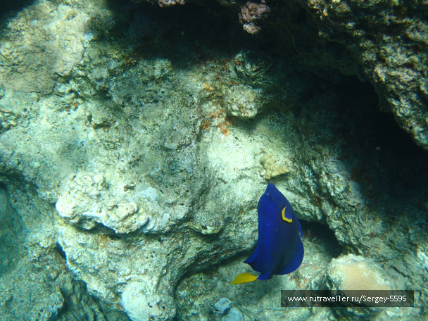 photo 2007441