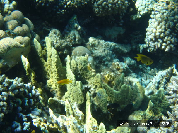photo 2008975
