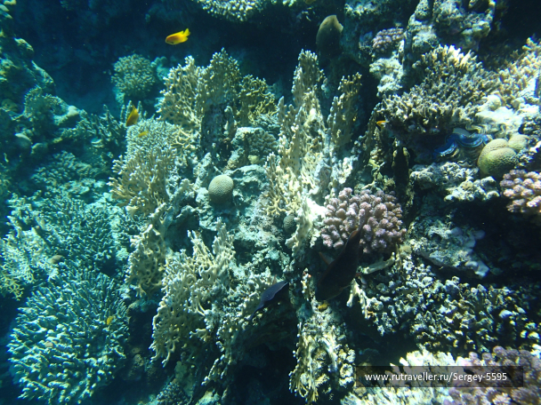 photo 2010313