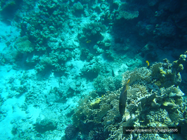 photo 2010811